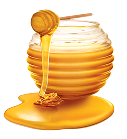 Bal