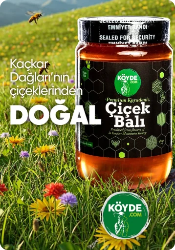 Yayla çiçek balı